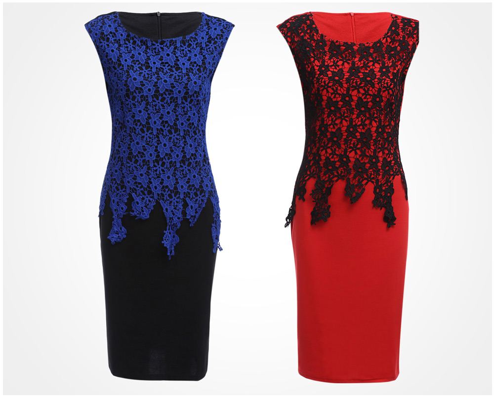 Lace Insert Two Tone Sheath Dress