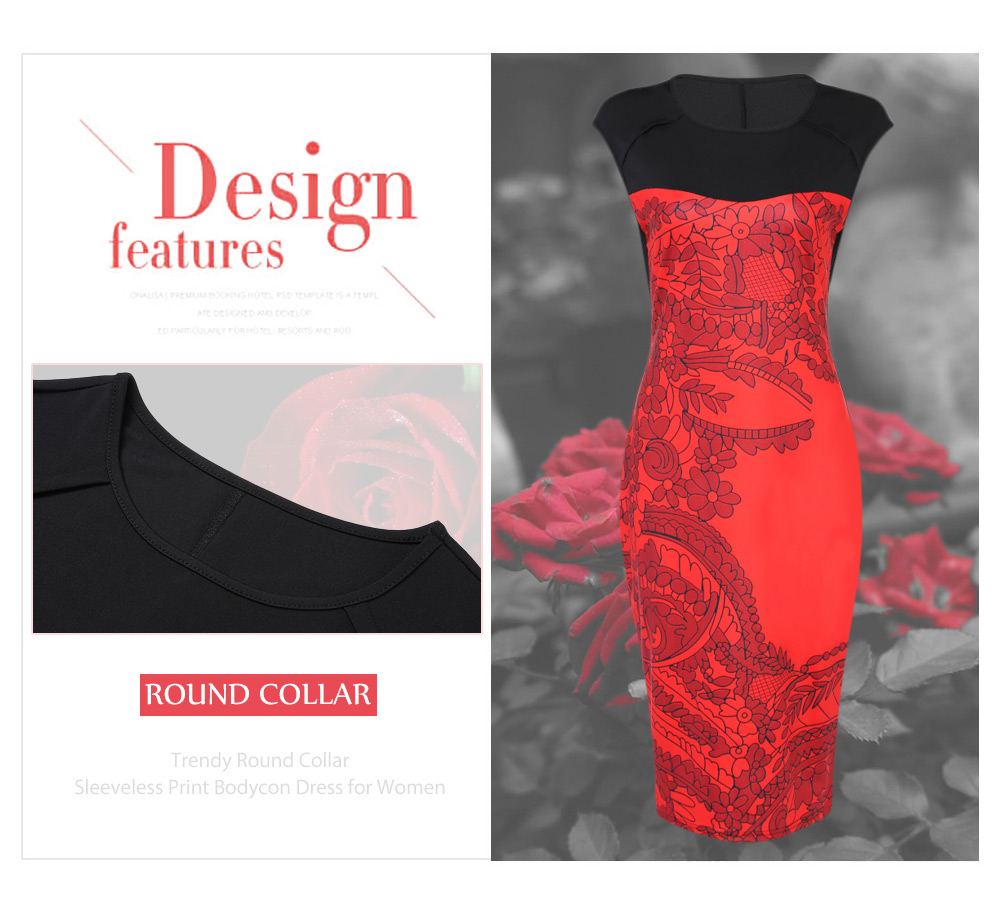 Trendy Round Collar Sleeveless Color Blocking Print Women Bodycon Dress