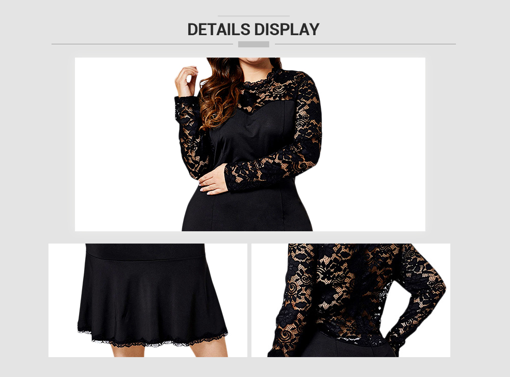 Lace Sleeve Plus Size Bodycon Dress