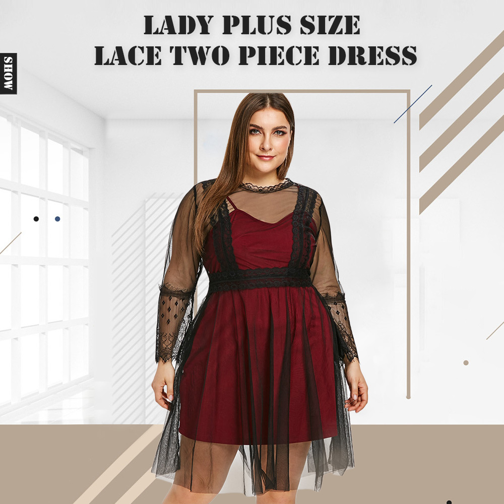 Plus Size See Through Lace Panel A Line Dress