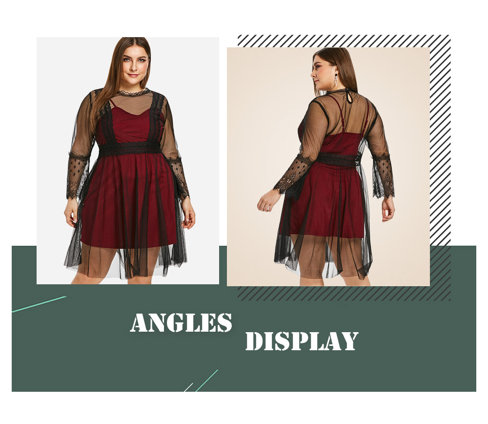 Plus Size See Through Lace Panel A Line Dress