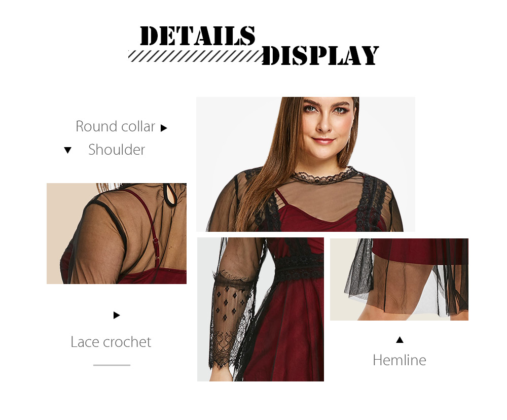 Plus Size See Through Lace Panel A Line Dress