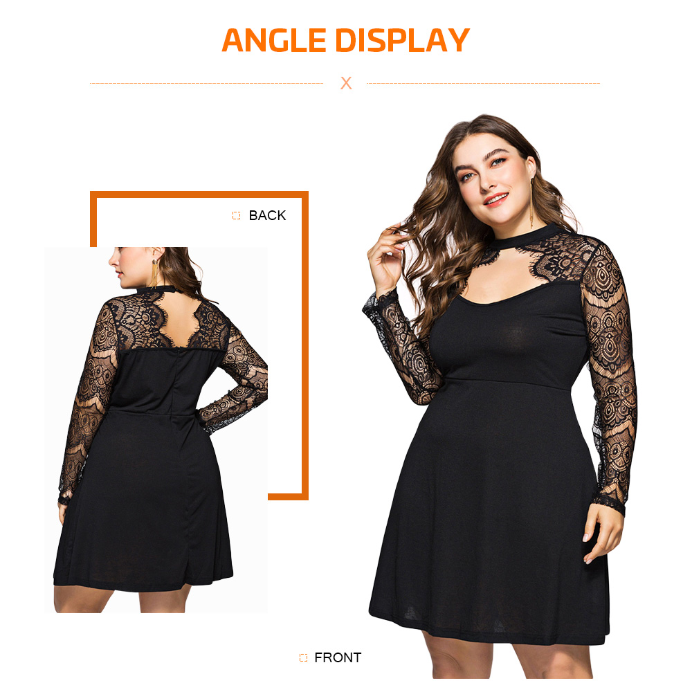 Plus Size Hole Lace Panel A Line Dress