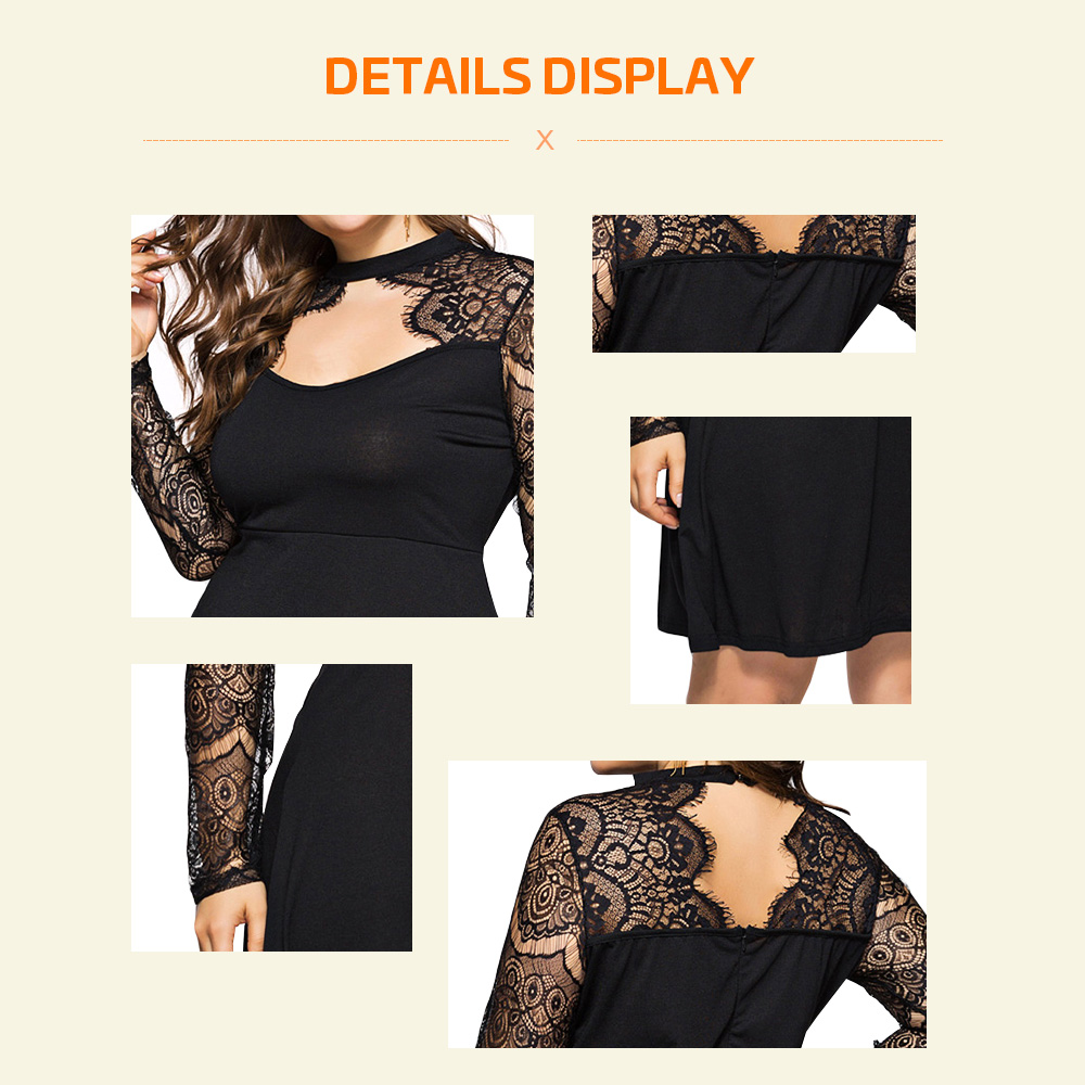 Plus Size Hole Lace Panel A Line Dress