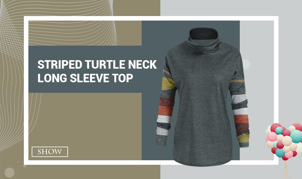 Striped Turtle Neck Long Sleeve Top