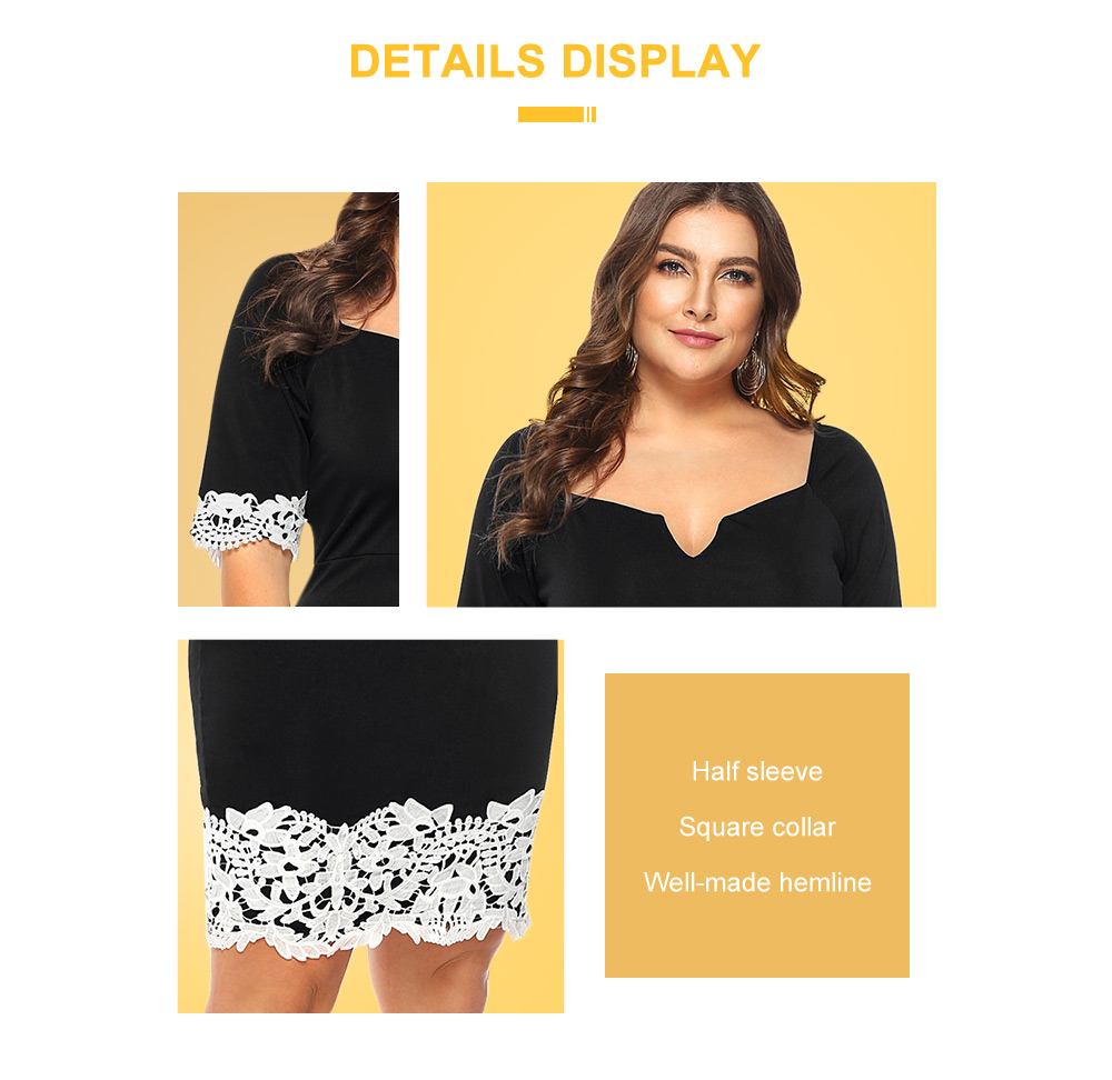 Plus Size Applique Panel Fitted Dress