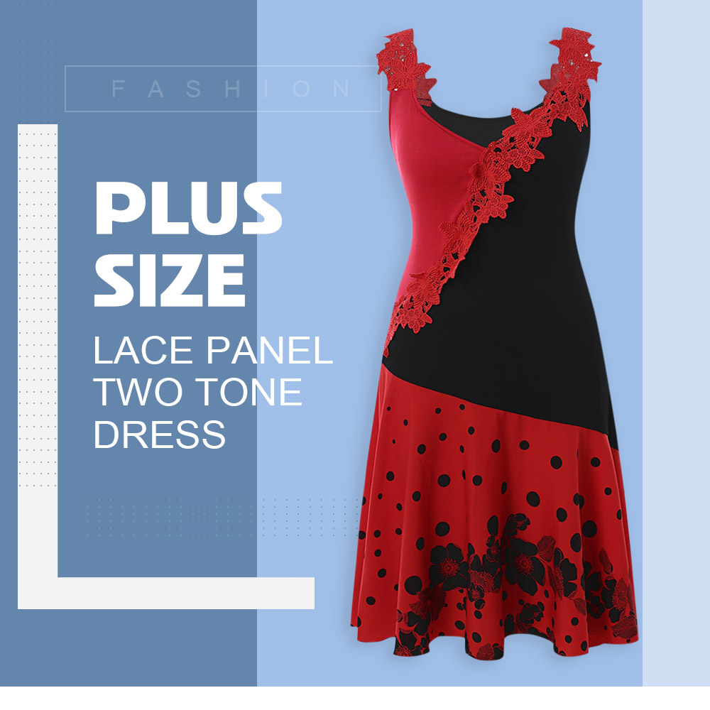 Plus Size Lace Panel Two Tone Dress